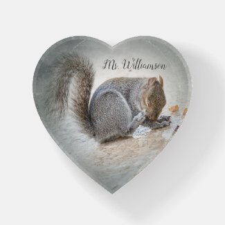 Cute Squirrel Paperweight