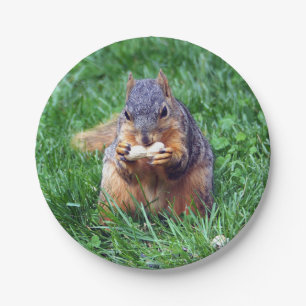 Cute Squirrel Peanut Photo Paper Plates