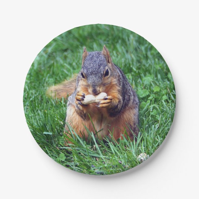 Cute Squirrel Peanut Photo Paper Plates (Front)