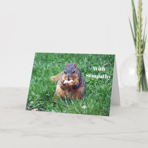 Cute Squirrel Peanut Photo Sympathy Card