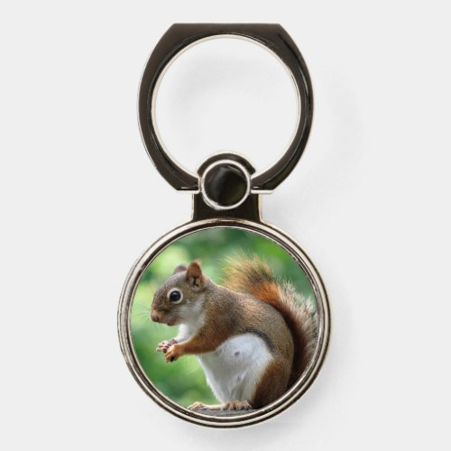 Cute Squirrel Phone Ring Holder