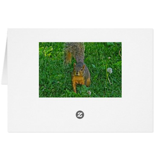Cute Squirrel Photo Blank Card (Back Horizontal)