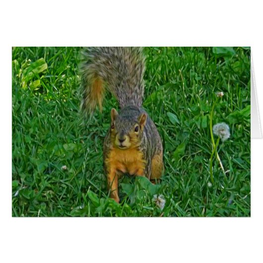 Cute Squirrel Photo Blank Card (Front Horizontal)