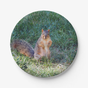 Cute Squirrel Photo Paper Plates