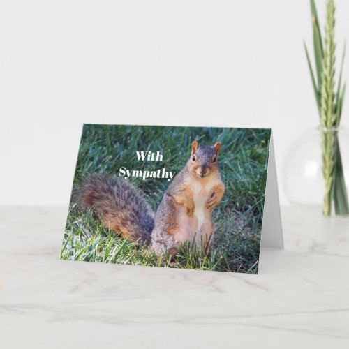 Cute Squirrel Photo Sympathy Card