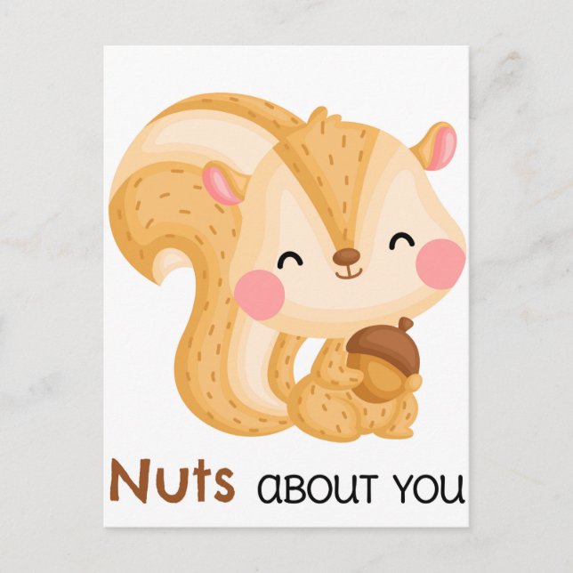 Cute Squirrel Postcard (Front)