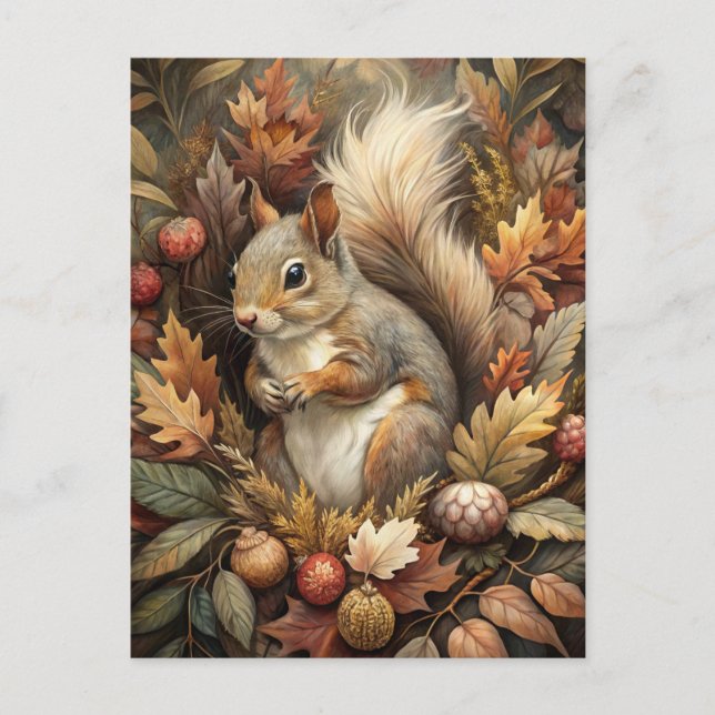 Cute Squirrel Postcard (Front)
