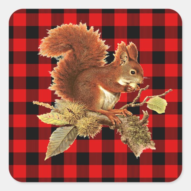 Cute Squirrel Red Black Buffalo Check Plaid Square Sticker (Front)