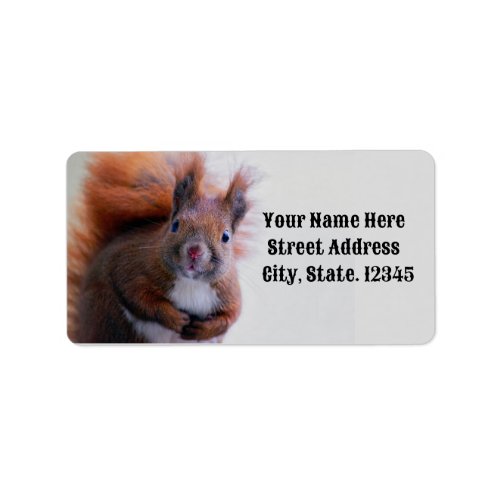 Cute Squirrel Return Address Label