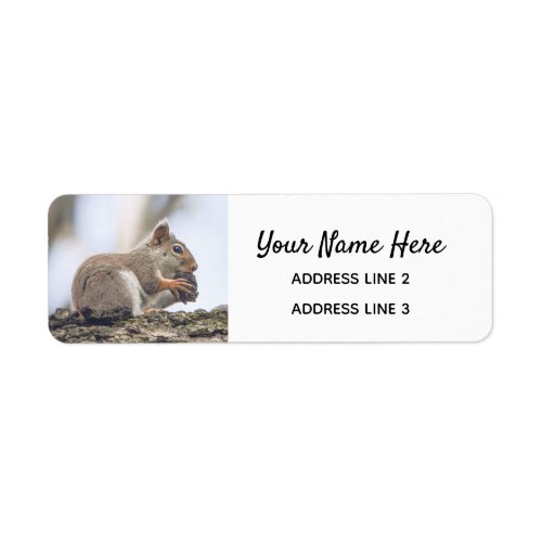 Cute Squirrel Return Address Labels