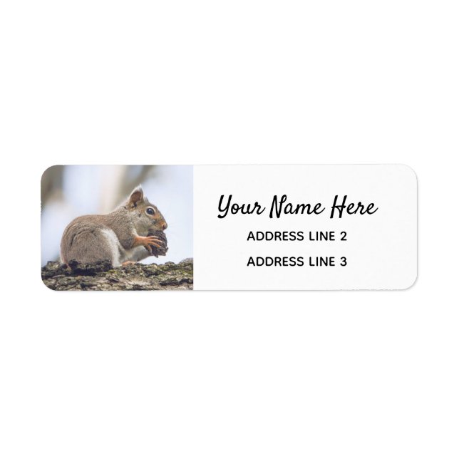 Cute Squirrel Return Address Labels (Front)