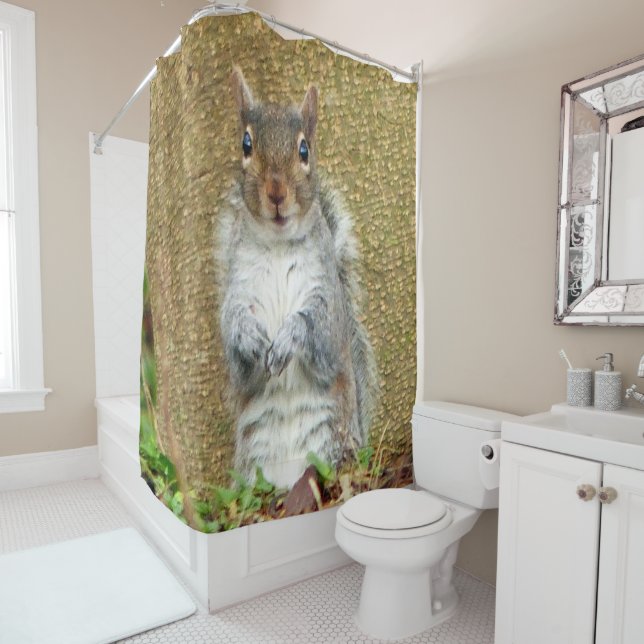 Cute Squirrel Shower Curtain (In Situ)