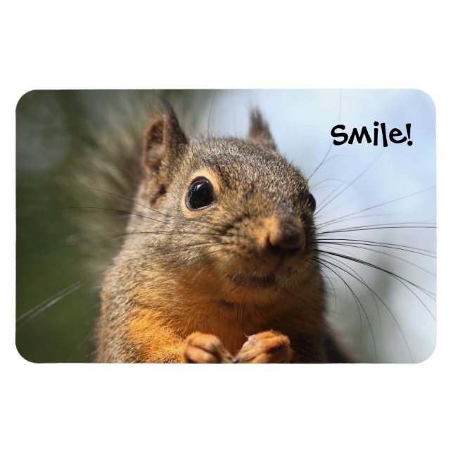 Cute Squirrel Smiling Closeup Photo Magnet (Horizontal)