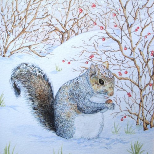 cute squirrel snow scene wildlife at christmas wrapping paper