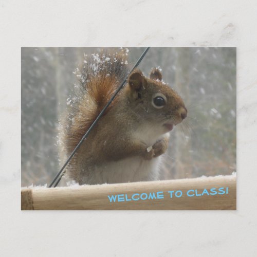 Cute Squirrel Student Welcome Teacher Postcard