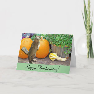 Cute Squirrel Thanksgiving Holiday Card
