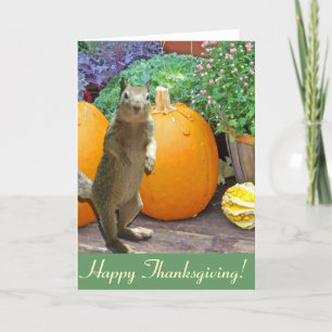 Cute Squirrel Thanksgiving Holiday Card