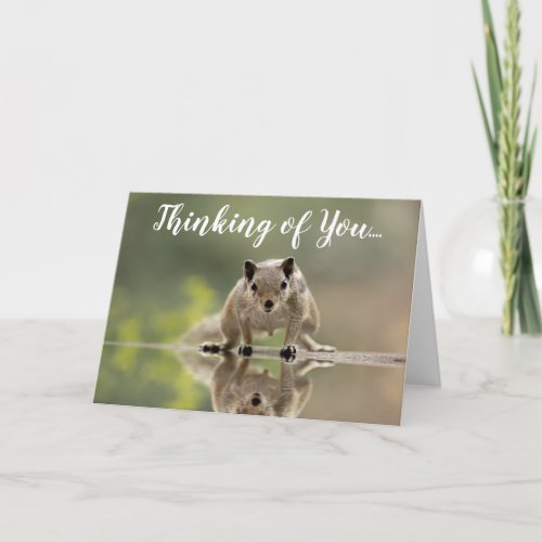 Cute Squirrel Thinking of You Greeting Card