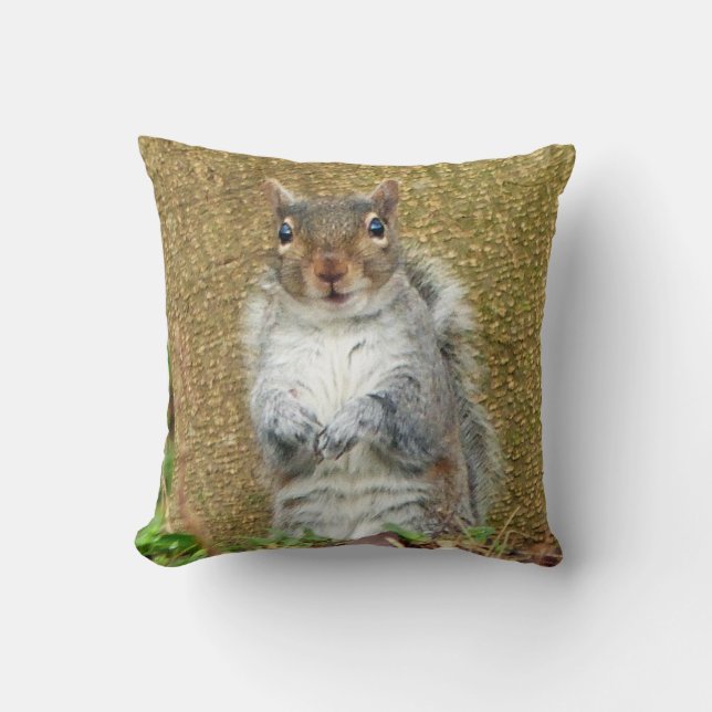 Cute Squirrel Throw Pillow (Front)