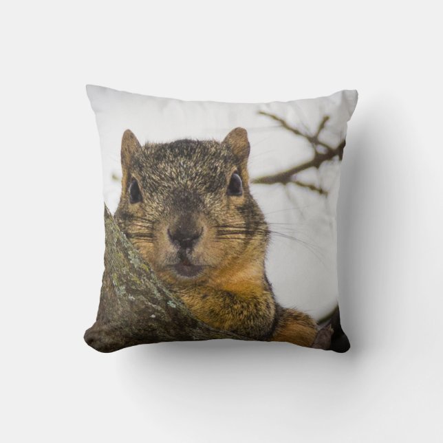 Cute Squirrel Throw Pillow (Front)
