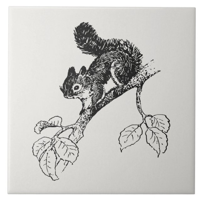Cute Squirrel Vintage Squirrel Illustration Ceramic Tile (Front)