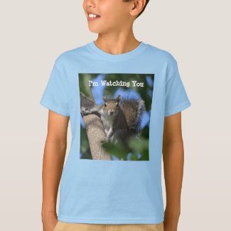 Cute Squirrel Watching You from a Tree Fun