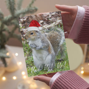 Cute Squirrel Wearing Red Santa Cap Holiday Card