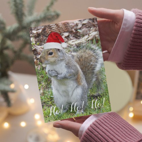 Cute Squirrel Wearing Santa Cap Holiday