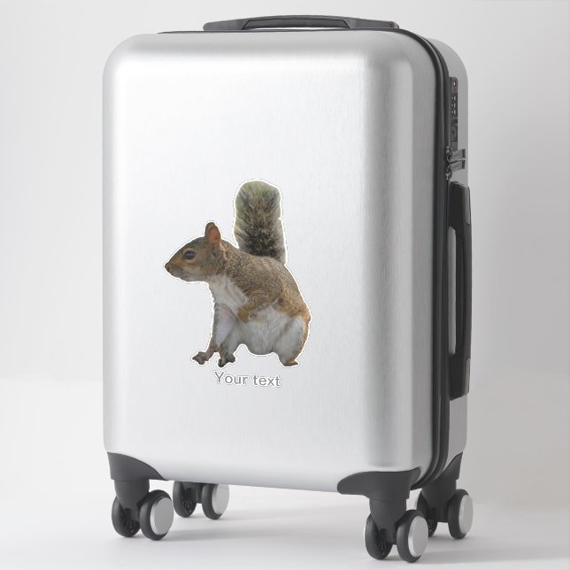 Cute squirrel wild animal sticker (Suitcase)