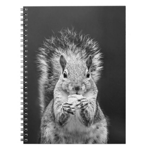 Cute Squirrel Wildlife Black and White Photograph Notebook