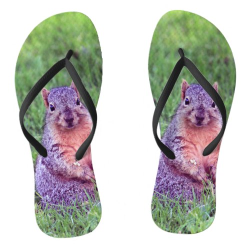 Cute Squirrel Wildlife Photo Flip Flops