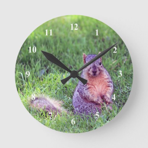 Cute Squirrel Wildlife Photo Round Clock