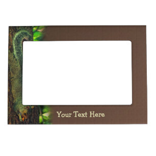 Cute Squirrel With Nut Animal Magnetic Frame