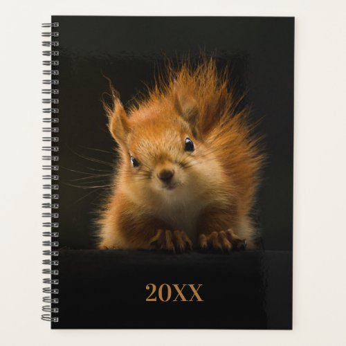 Cute Squirrel Year Planner