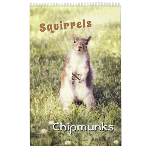 Cute Squirrels and Chipmunks Funny Animal Photos Calendar