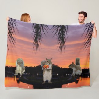 Cute Squirrels at sunset 