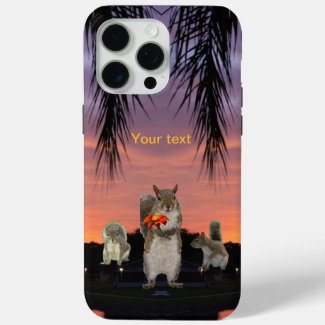 Cute Squirrels at Tropical sunset 