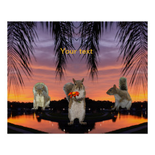 Cute Squirrels at Tropical sunset Poster