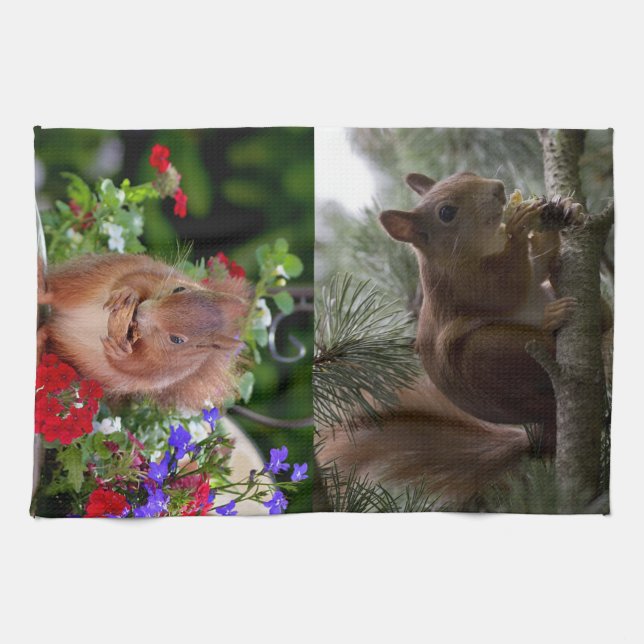 Cute Squirrels Kitchen Towel (Horizontal)