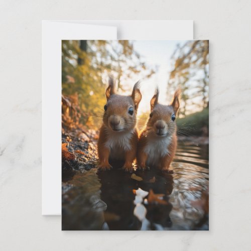 Cute Squirrels Note Card