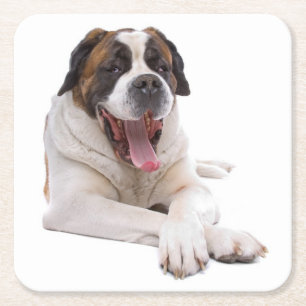 Cute St Bernard Gift Puppy Dog Lover Saint Bernard Square Paper Coaster