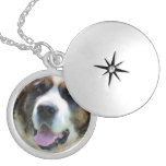 Cute St. Bernard Silver Plated Necklace