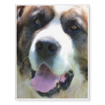Cute St. Bernard Temporary Tattoos