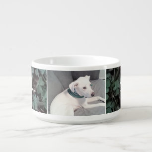Cute St. Patrick's Day Dog Wearing Scarf Shamrocks Bowl