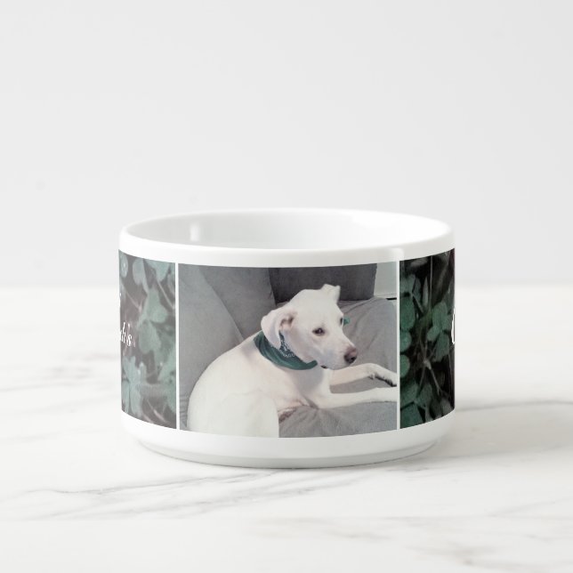Cute St. Patrick's Day Dog Wearing Scarf Shamrocks Bowl (Center)