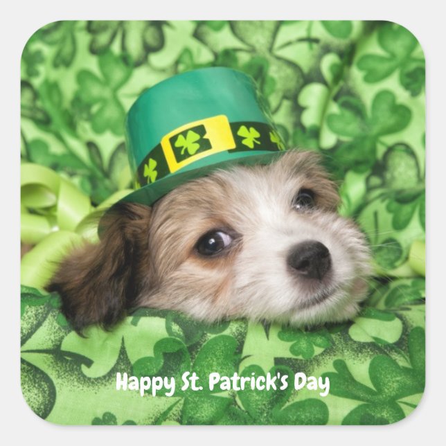 Cute St. Patrick's Day Puppy Square Sticker (Front)