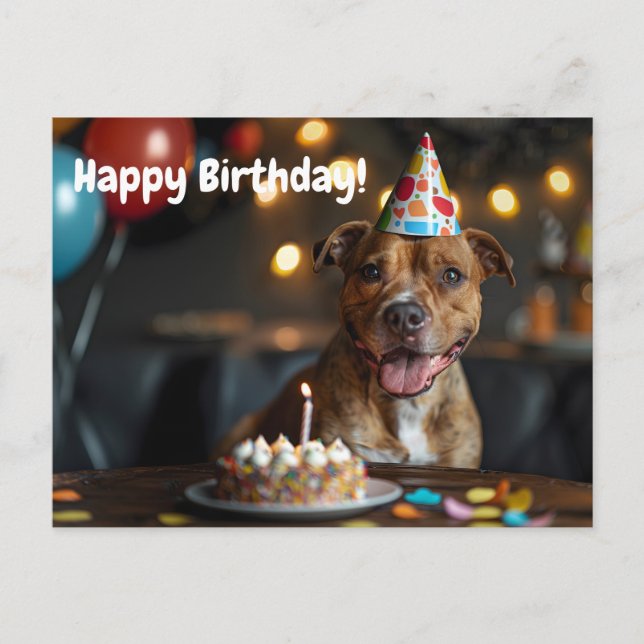 Cute Staffordshire bull terrier birthday design Postcard (Front)