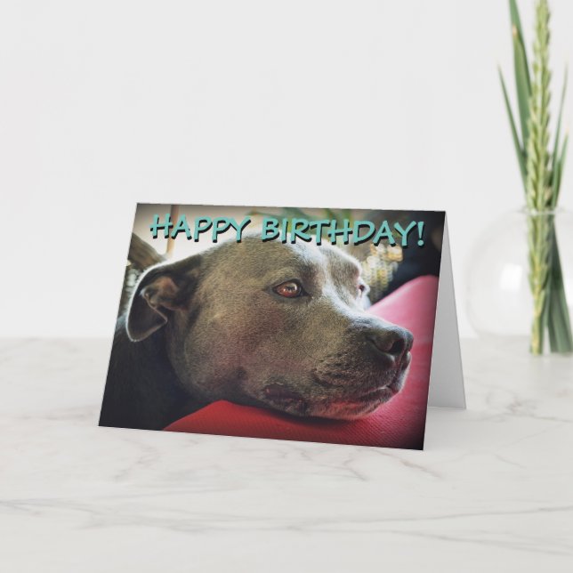 Cute staffy customized greetings card (Front)