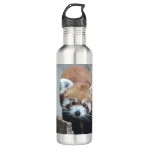 Cute Stainless Steel Water Bottle