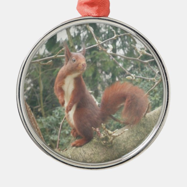 Cute Standing Squirrel Metal Ornament (Front)